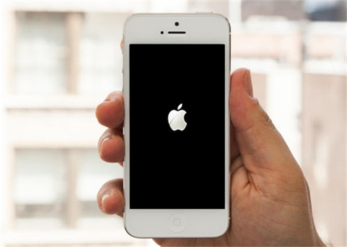 iphone apple logo